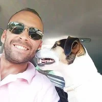 Dexter le Jack Russell