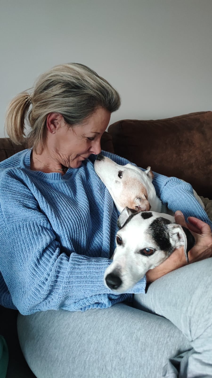 Dex & Pixel — Les deux frères